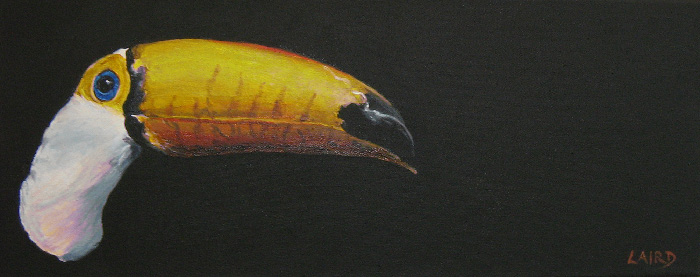 Toucan