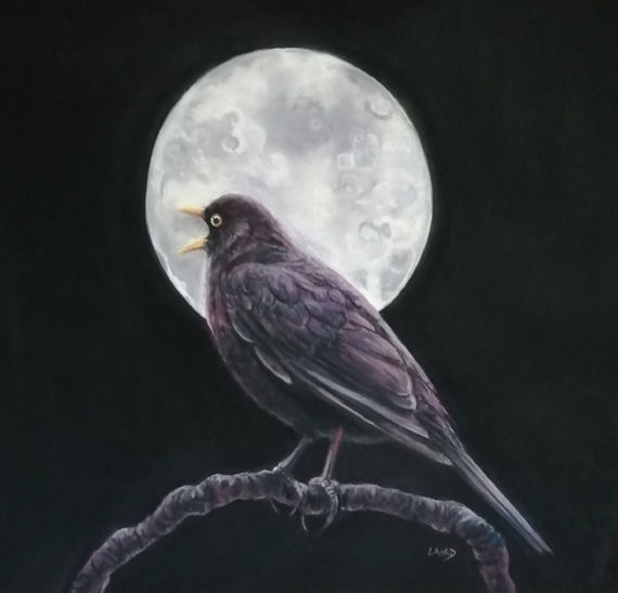 Magical Midnight